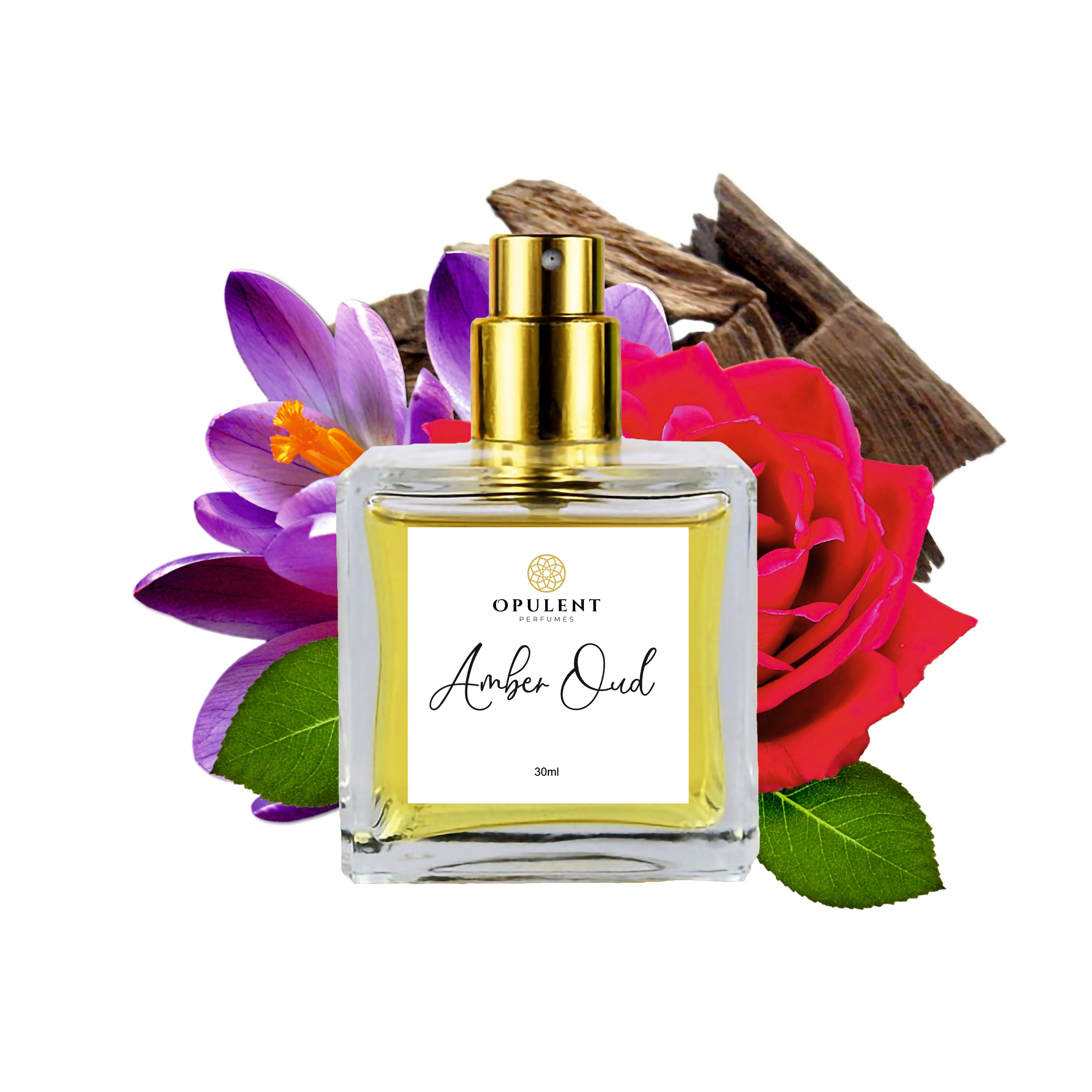 AMBEROUD Sample - Sophisticated Amberoud Eau de Parfum with Black Coffee  and Oud Essence – Hermetica Paris